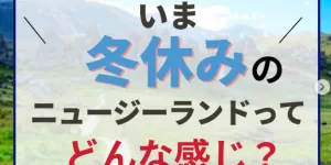 冬休みのニュージーランドってどんな感じ?